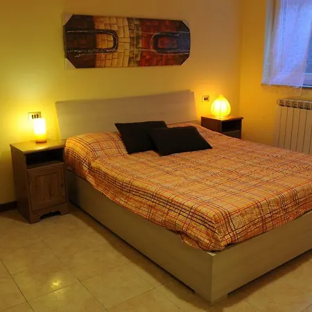 Apartament New 12 *